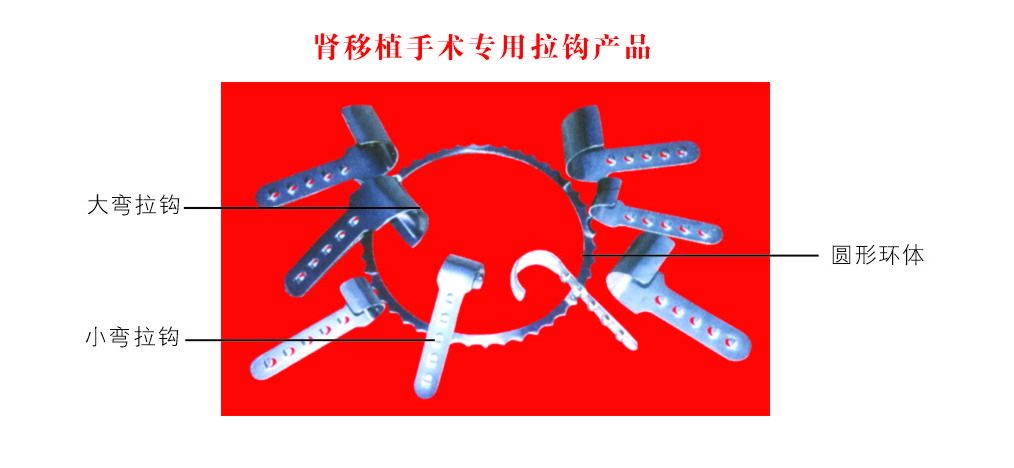 肾移植手术专用拉钩