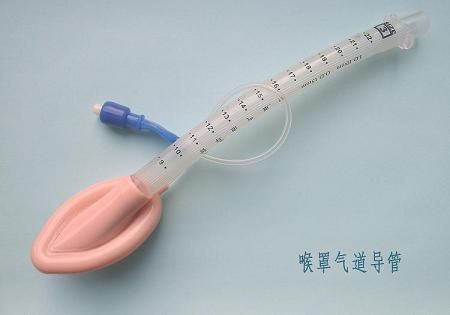 喉罩气道导管
