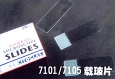 载玻片(免洗)