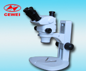 解剖显微镜