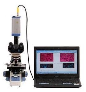 一滴血检测仪,血液分析仪
