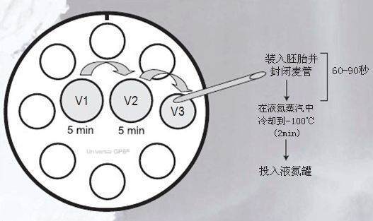 玻璃化冷冻试剂–S3