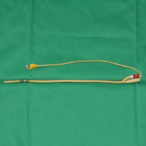 电极导尿管