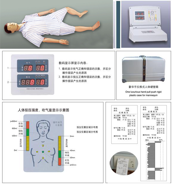 多功能急救护理训练模拟人800-A3型