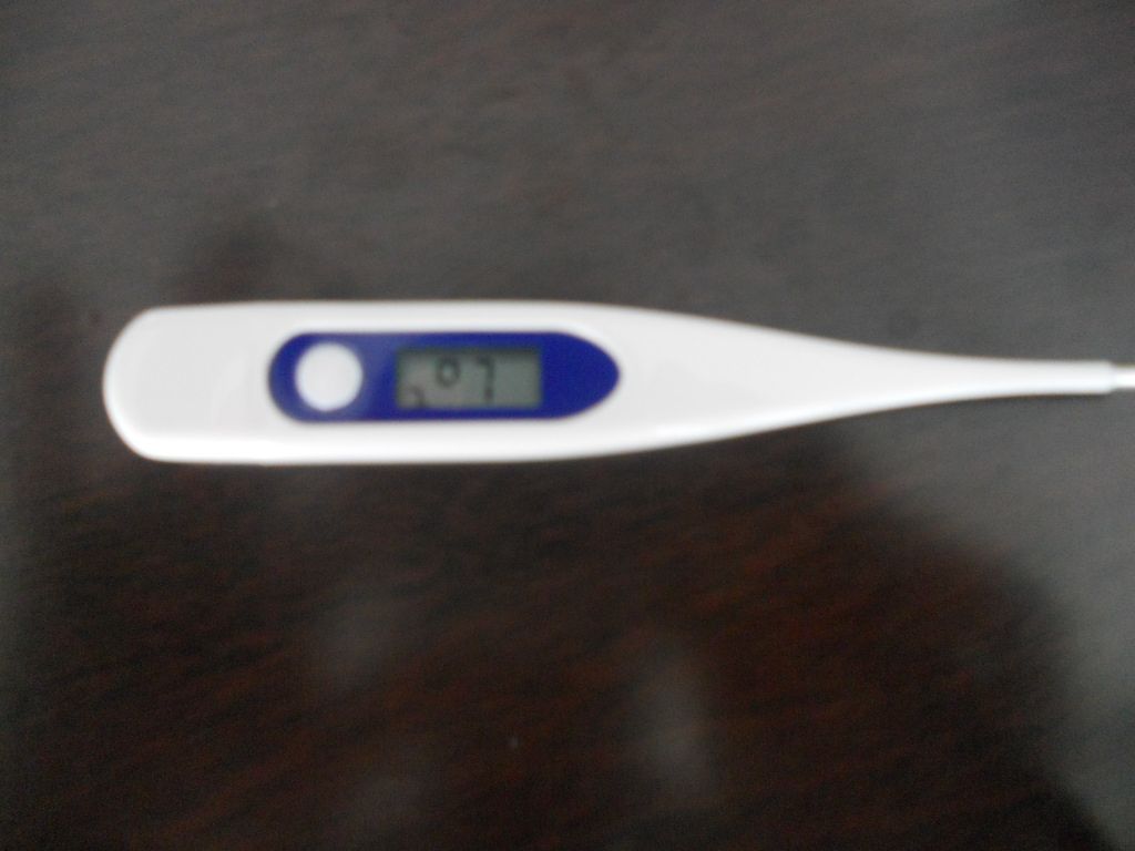 硬头数字式电子体温计