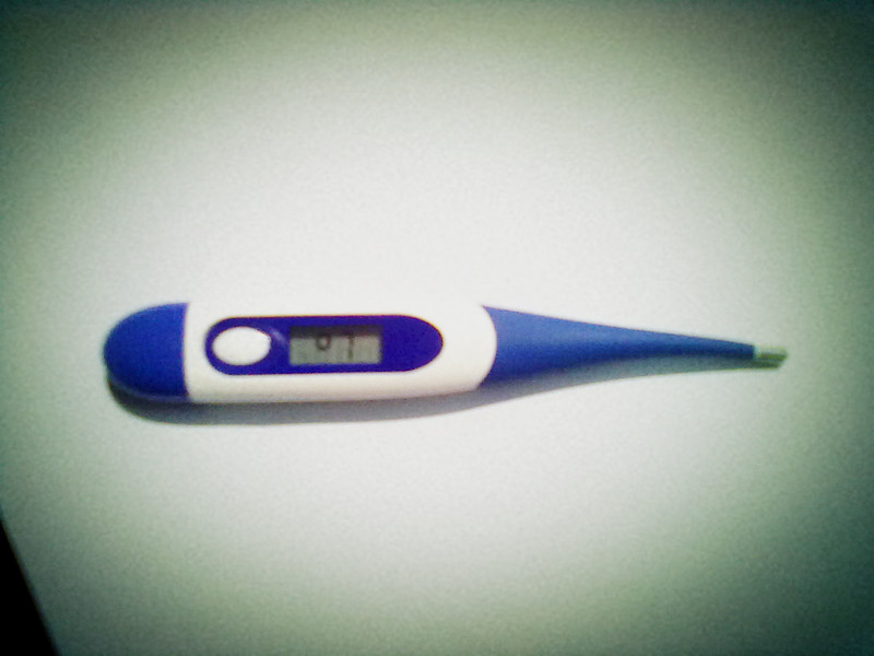 数字式电子体温计