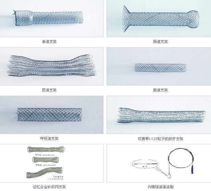 人体腔内支架