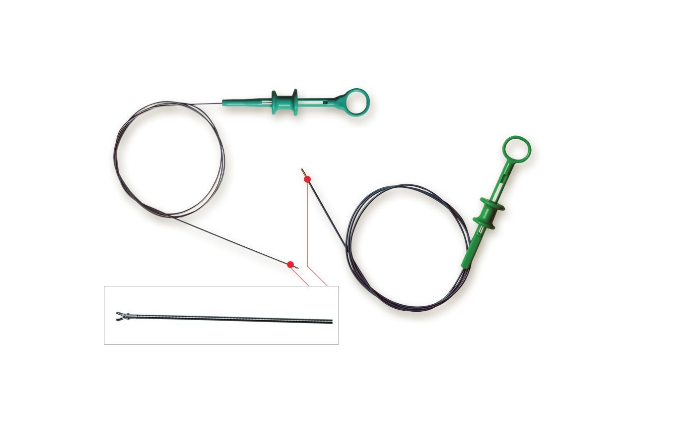 一次性活体取样钳