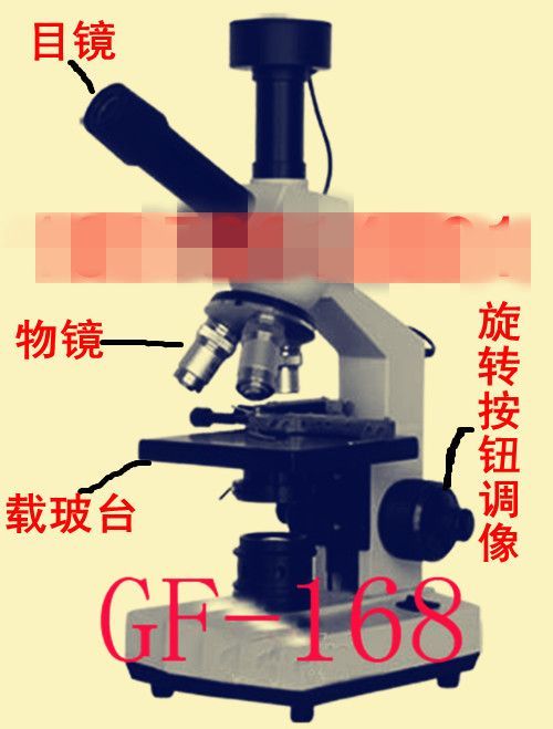 一滴血显微镜检测仪