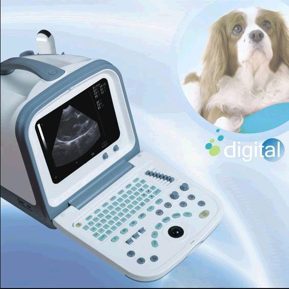 全数字动物B超 便携式B超 兽用B超机 宠物B超 狗 猫 牛 羊宠物医院用动物B超