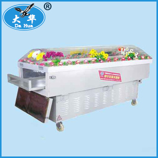 J型喷塑冰棺 殡葬用品冰棺