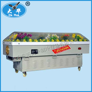 新款N型水晶棺 医用冷柜