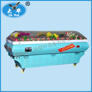 P型豪华水晶棺 医用恒温箱