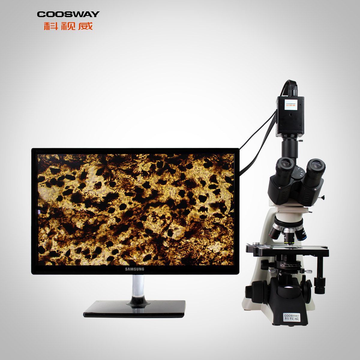 40x-1600x放大高清晰生物显微镜