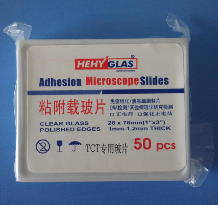 粘附载玻片