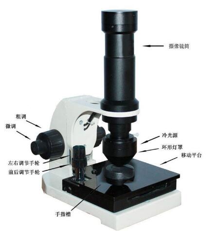 微循环评估仪/显微观察仪