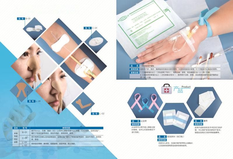 体表导管固定装置