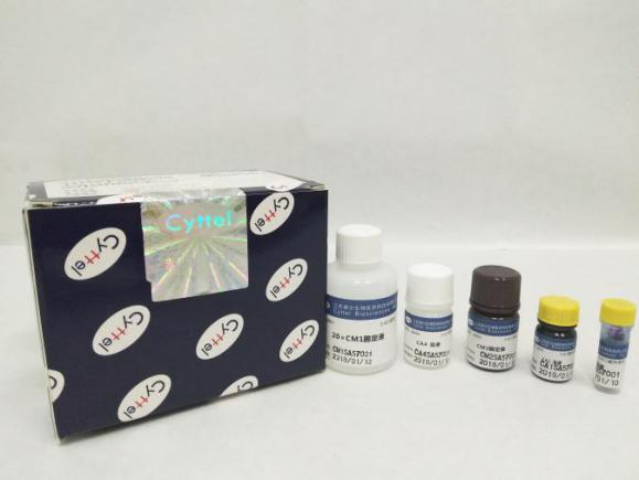 体液脱落细胞检测试剂盒