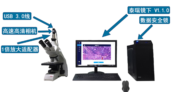 泰瑞镜下数字病理图像管理软件