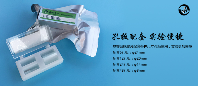细胞爬片6孔板配套用24mm细胞爬片盖玻片