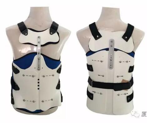 两片胸腰(高/低位)支具矫形器