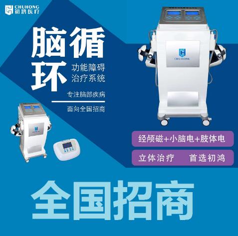 脑循环功能障碍治疗仪