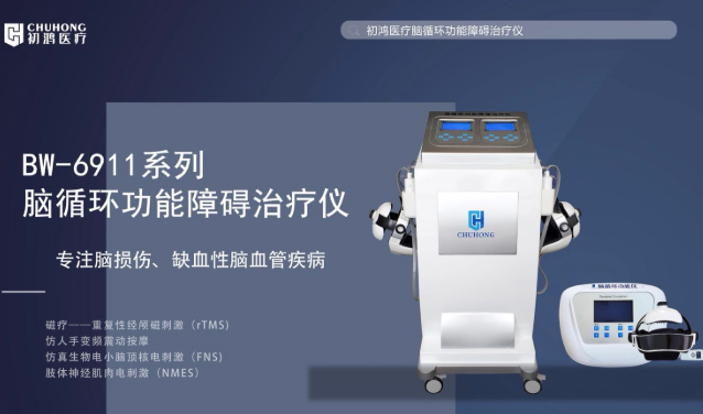 脑循环功能障碍治疗仪