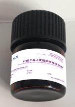 叶酸介导上皮组织特殊染色液