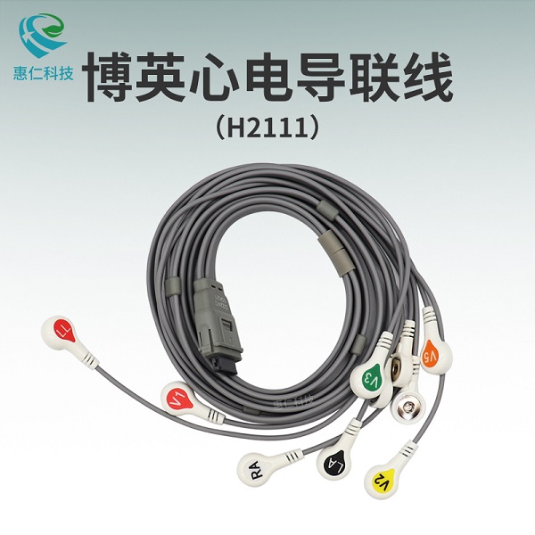 博英BI1812/BI6612/BI6812/BI9800动态心电图工作站导联线H2111