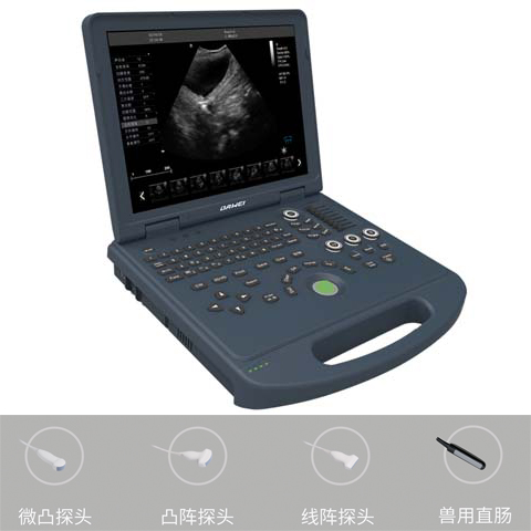 狗膀胱有结石B超机 狗乳腺彩超机 狗怀孕 b超机 狗彩超设备厂家 狗腹部彩超机价格 狗腹部彩超机价格