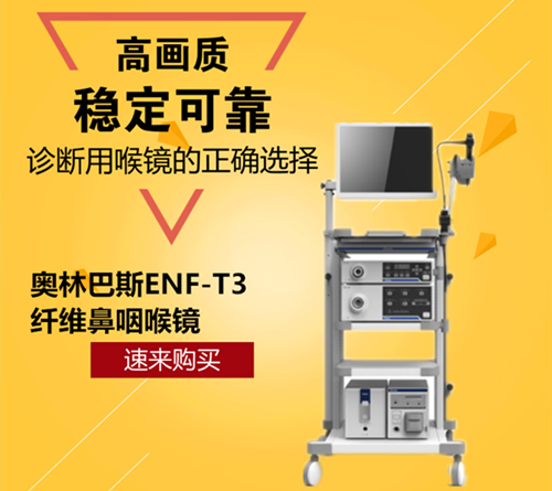 五官科内窥镜Olympus奥林巴斯ENF-T3纤维鼻咽喉镜