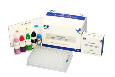 人乳头瘤病毒分型检测试剂盒(基因芯片法)