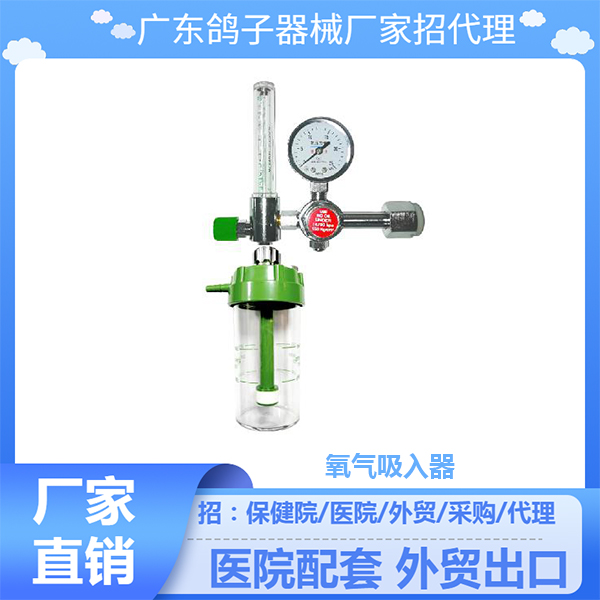 广东鸽子吸入器氧气吸入器 医用减压阀 浮标式氧气吸入器