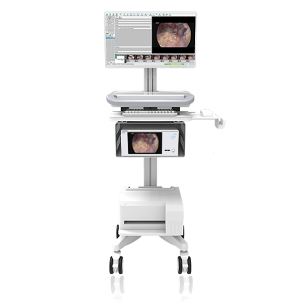 4K/3D内镜影像工作站/内镜工作站/腔镜工作站
