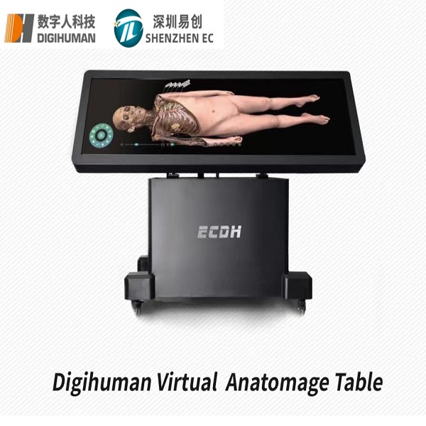 数字人 88/55寸虚拟人体教学解剖台示教医院自助教学演示台