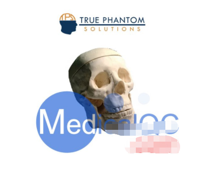 WEK-Head成人头骨模体 WEK-Head 成人头骨模体 定制