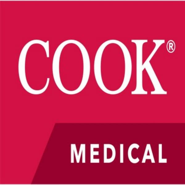 库克COOK 血管鞘 KCFW-7.0-38-90-RB-RAABE 血管介入耗材