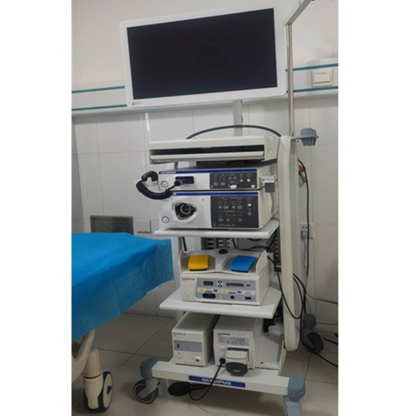 日本奥林巴斯胃肠镜系统CV-290 胃镜GIF-H290 肠镜CF-H290I