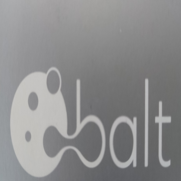 LEO 巴尔特BALT自膨式颅内支架介入耗材 .25X25