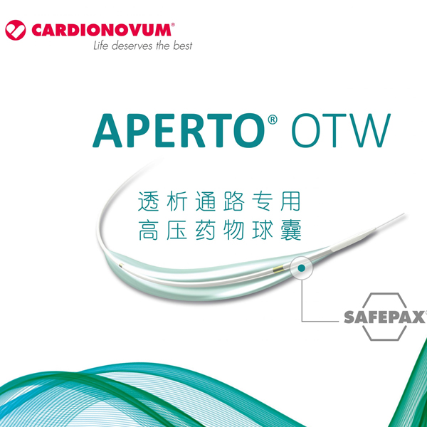 紫杉醇释放高压分流球囊扩张导管