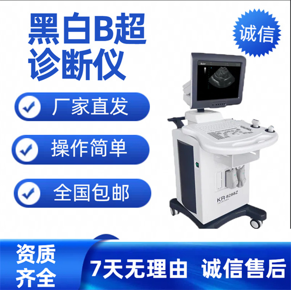黑白超声诊断系统