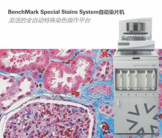 徕卡 染色机 BenchMarkSpecialStainsSystem