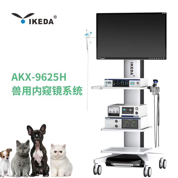 兽用内窥镜