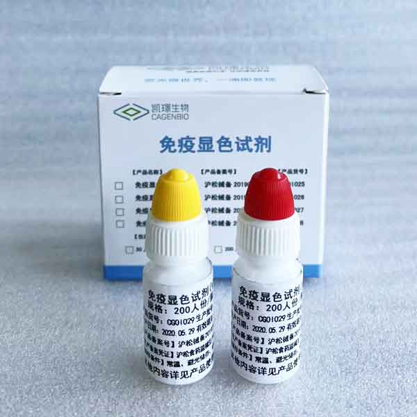 免疫显色试剂(II)---呼吸系统荧光染色