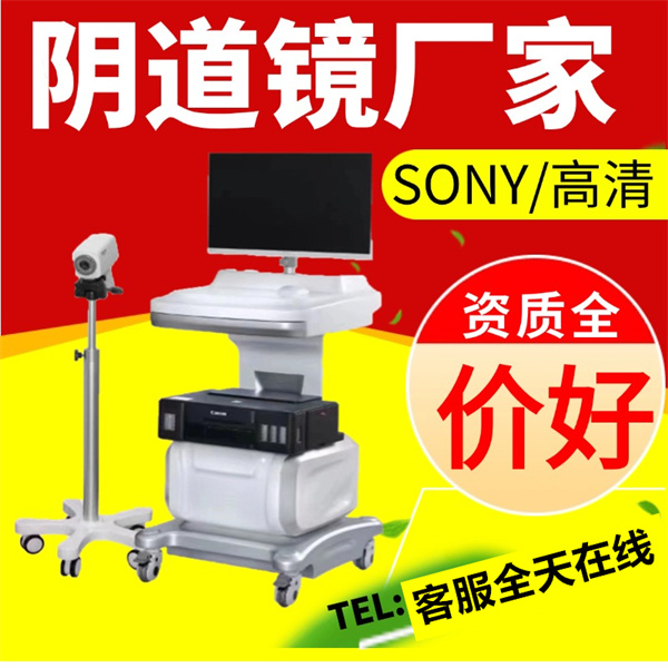 医用妇科阴道镜 数码电子阴道镜高清阴道镜数字阴道镜 成像系统 厂家