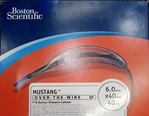 PTA球囊扩张导管 波科 H74939171060440