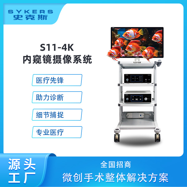 内窥镜成像系统 超高分辨率 性能可靠 耳鼻喉检查 五官科