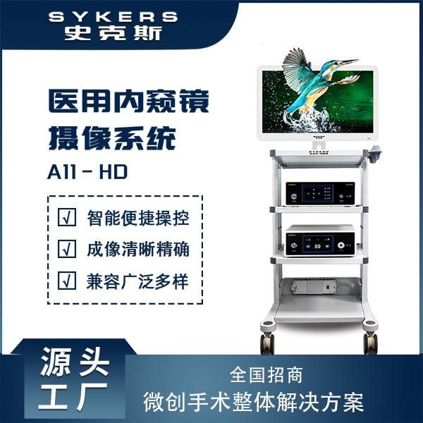 耳镜 鼻镜 喉镜 耳鼻喉科用内窥镜 高清内窥镜摄像系统